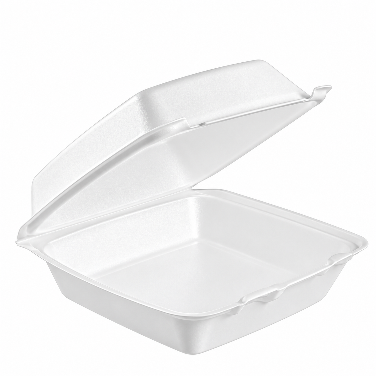 85HT1 White Foam Container